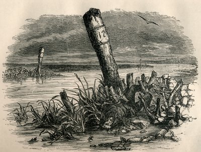 Daniel Quilp is Washed Ashore, from 
